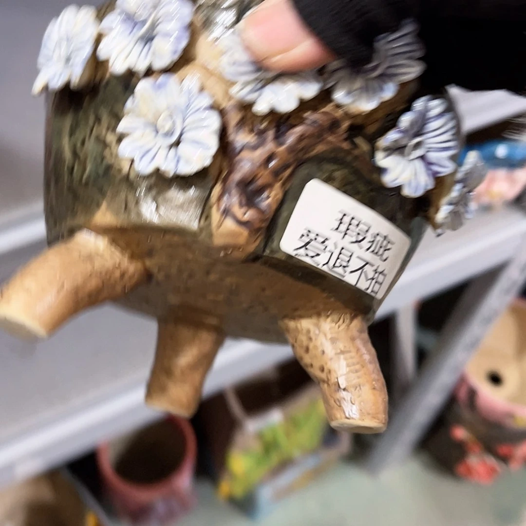 【闪购商品】红陶福利