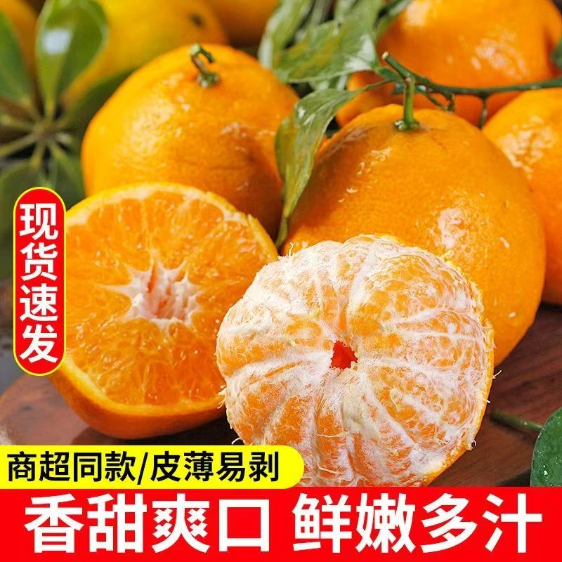 xc正宗四川柑橘丑橘耙耙柑应季新鲜水果现摘整箱产地直发