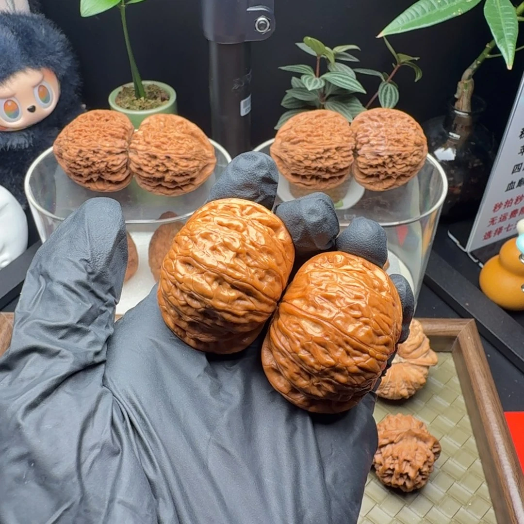 高***爸龙脊菩提把件铁锤回血40（微修）