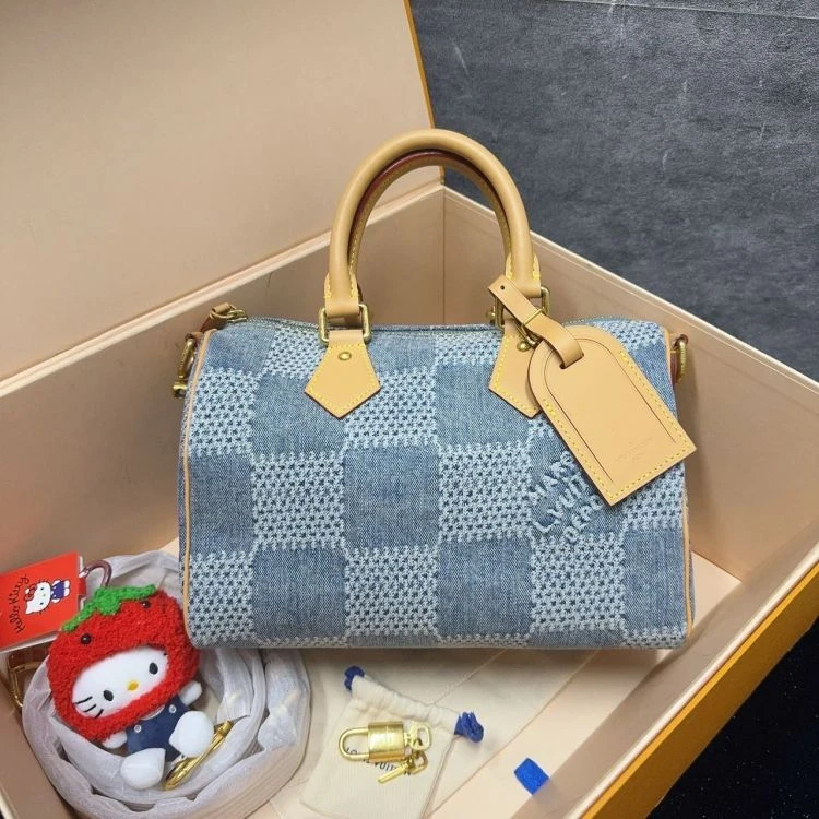 95新/路易威登/C4533190433/[251117LLYC]