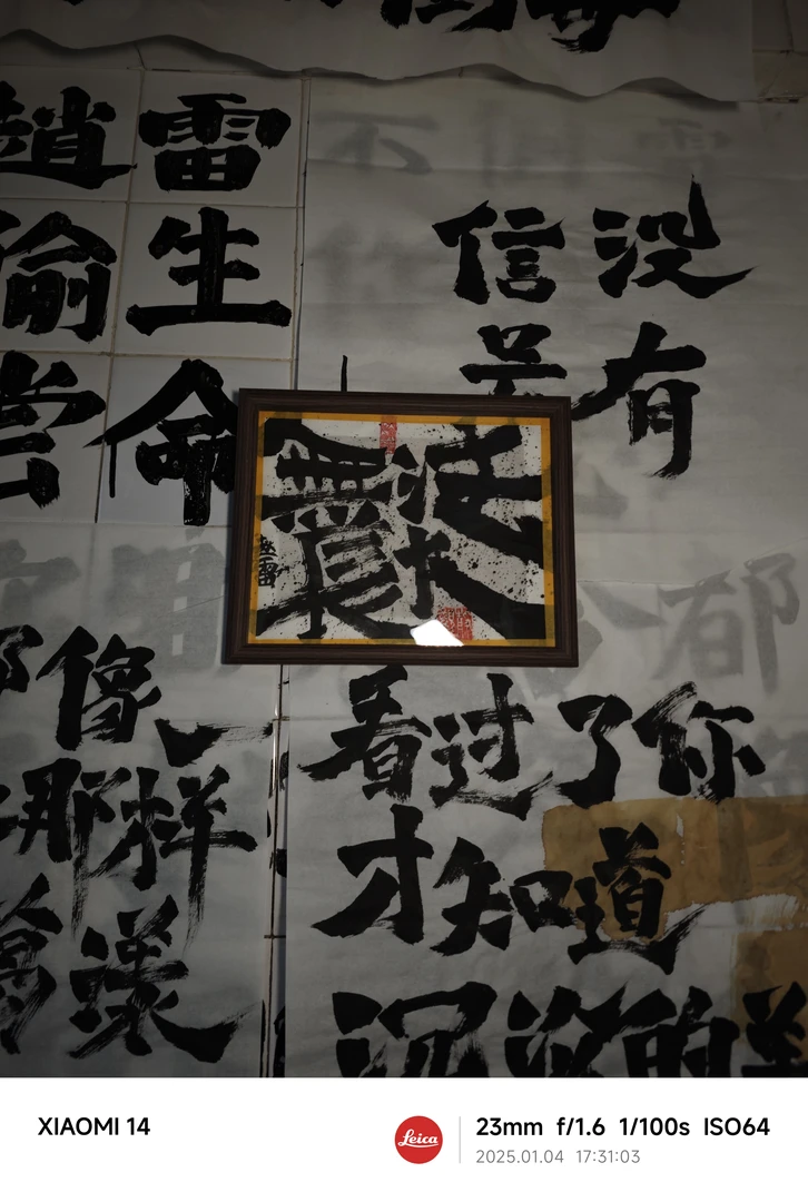 无法长大赵雷周边字画