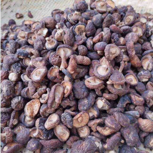 wy农家高山 小香菇 干货500g