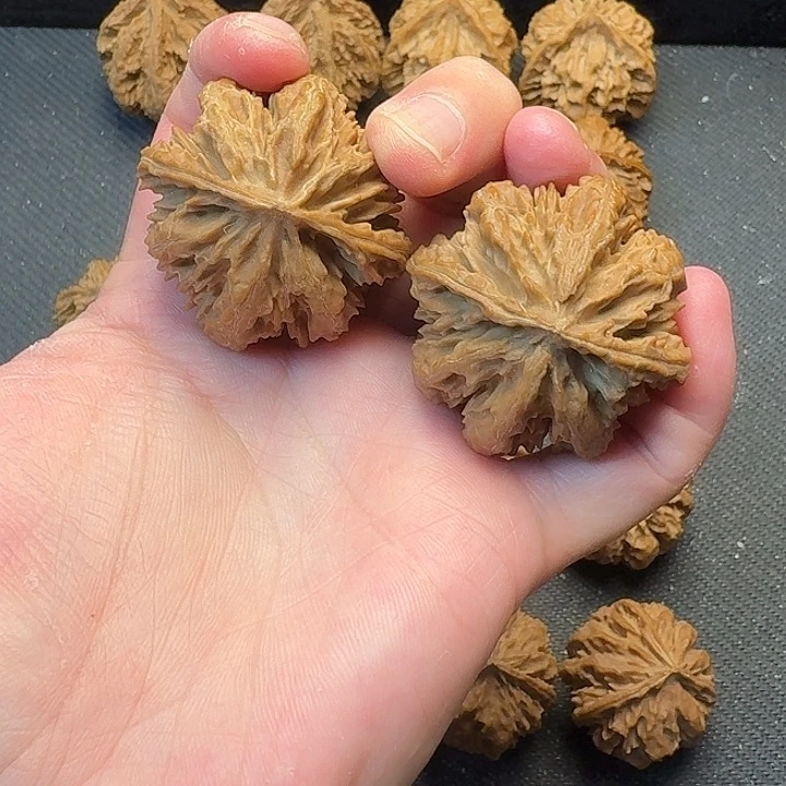 我也不知道我为什么要