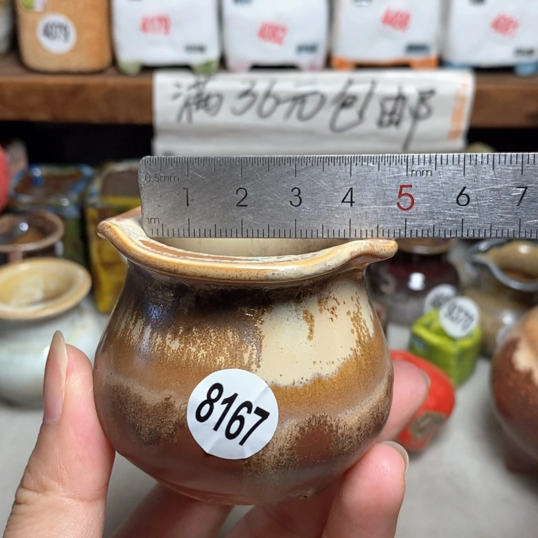 拍5送一个小礼物
