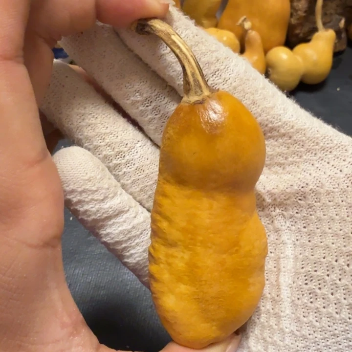 大***雄66…………………………………………