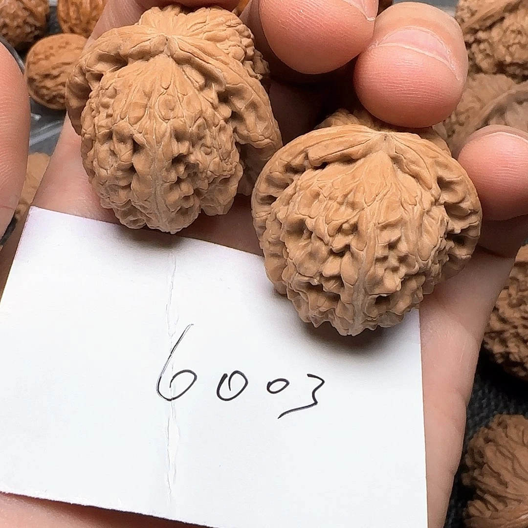 茶***生文玩核桃吊坠6003白狮子37尺