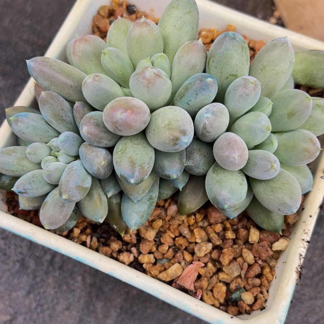 新年快乐 新年快乐 新年快乐
