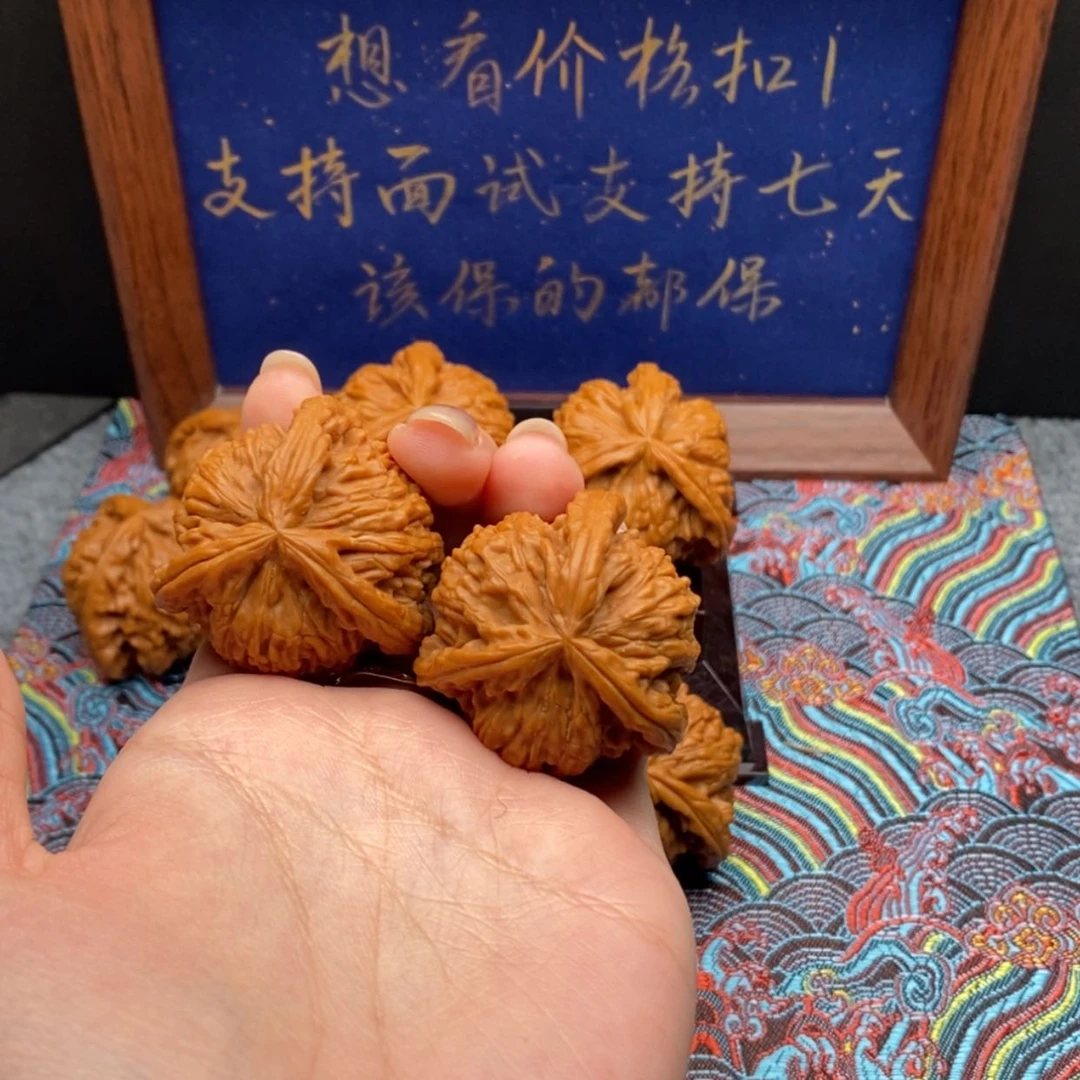 【闪购商品】遥*白狮