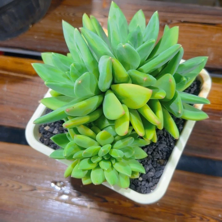 海洋缀福利11111111111