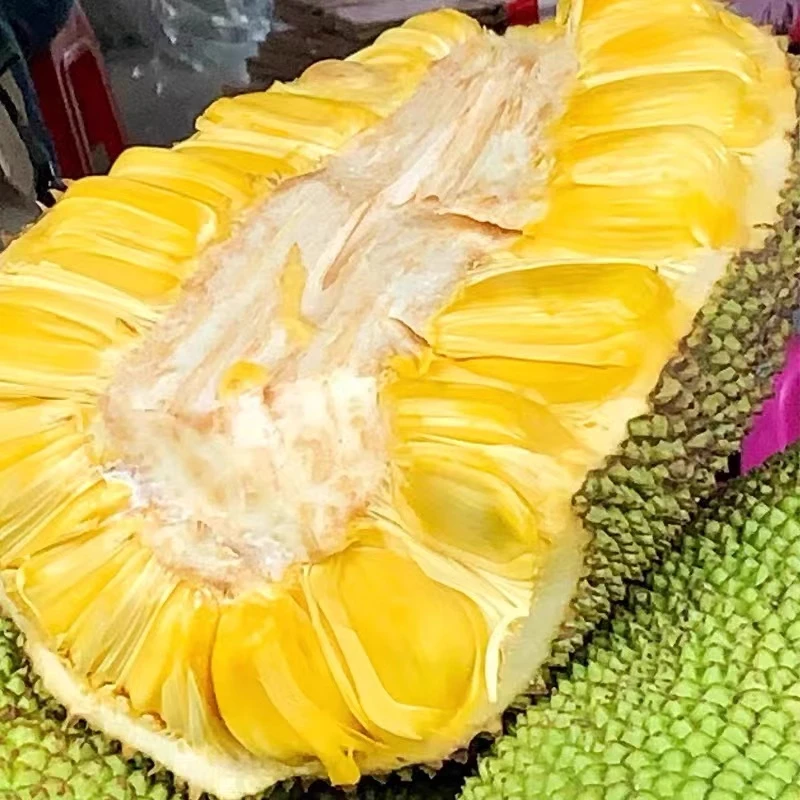 （取芯）越南奶香菠萝蜜脆甜口-京东顺丰明天送货上门（取了芯之后中间的地方会氧化-不影响果肉，介意千万别拍）