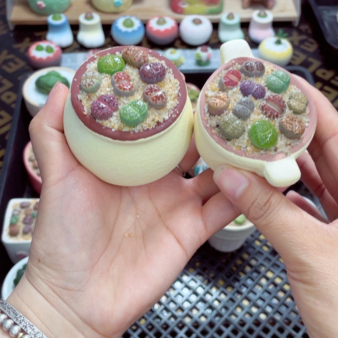 w8354 带盆土发货一物一拍