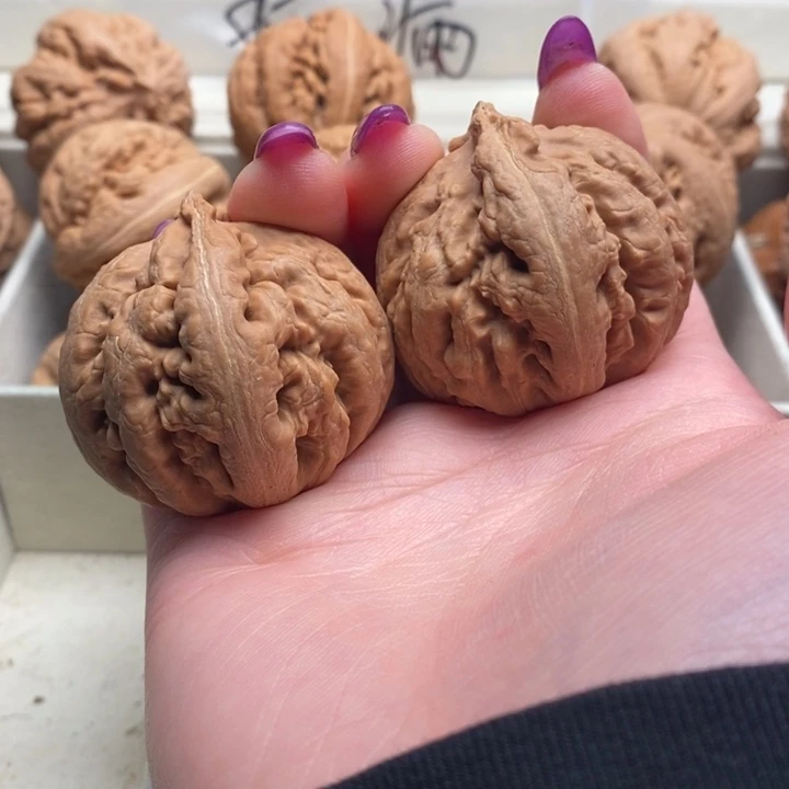 大***哥吊坠文玩核桃霸王龙