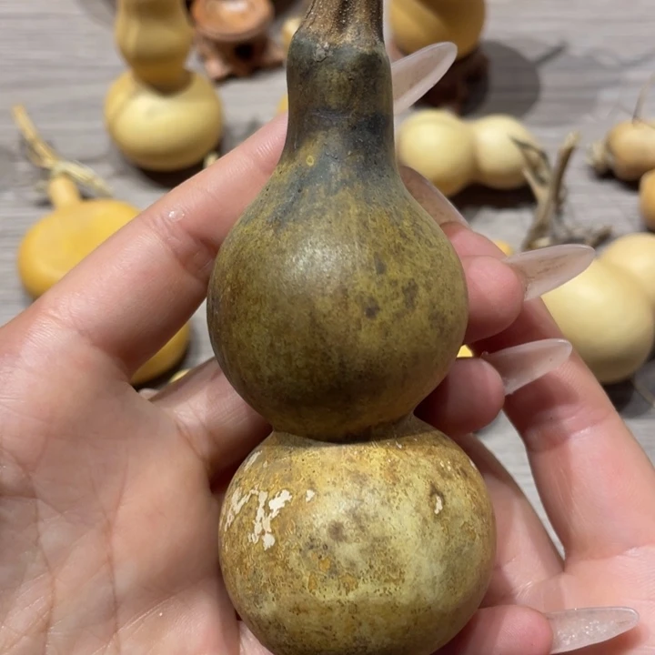 今*缘葫芦葫芦葫芦葫芦