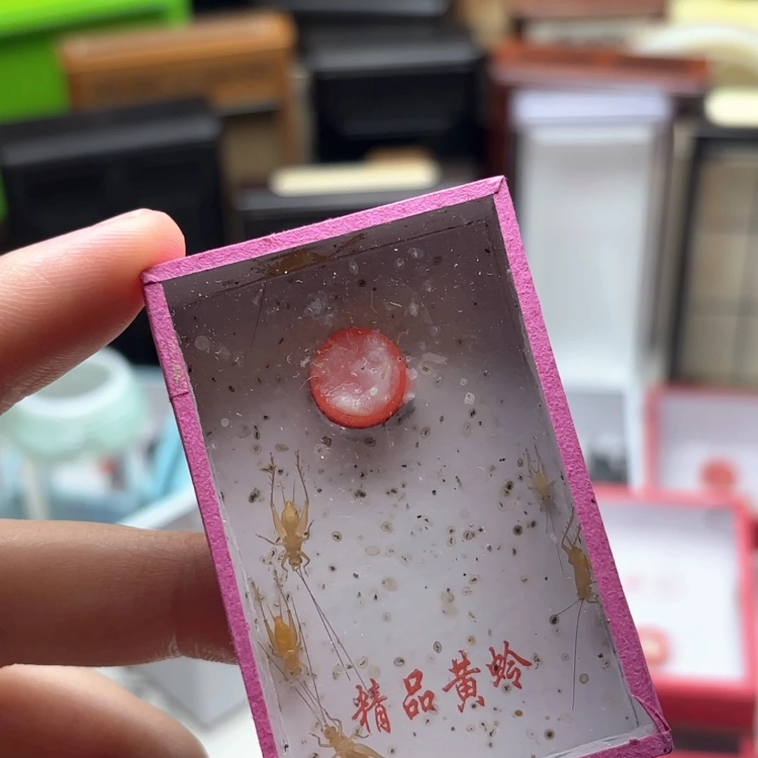 哈哈哈哈哈哈哈哈