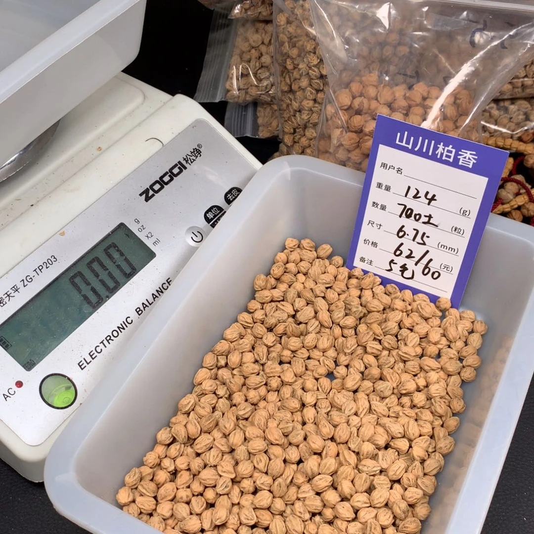 柏香籽/百香籽手串