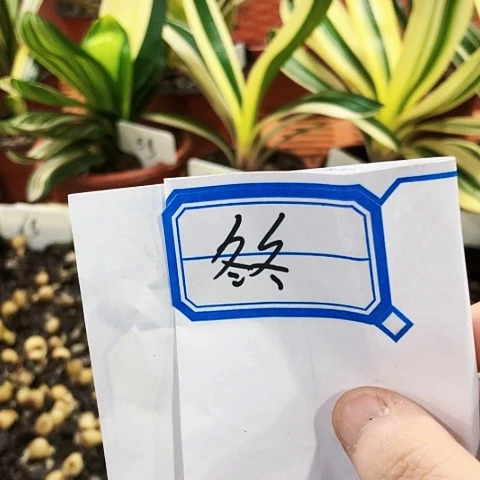 【闪购商品】冬*直播间