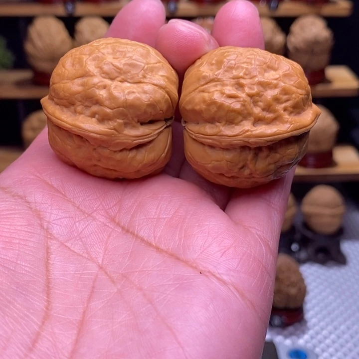 木质类云铁小玉蟾65号