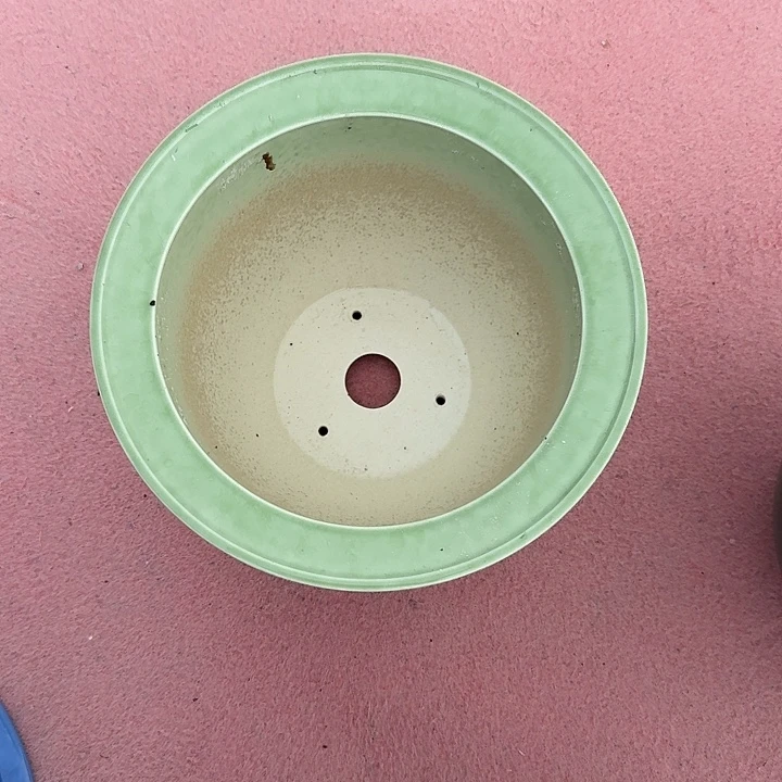 杨***顺有个点一下一个一个一个