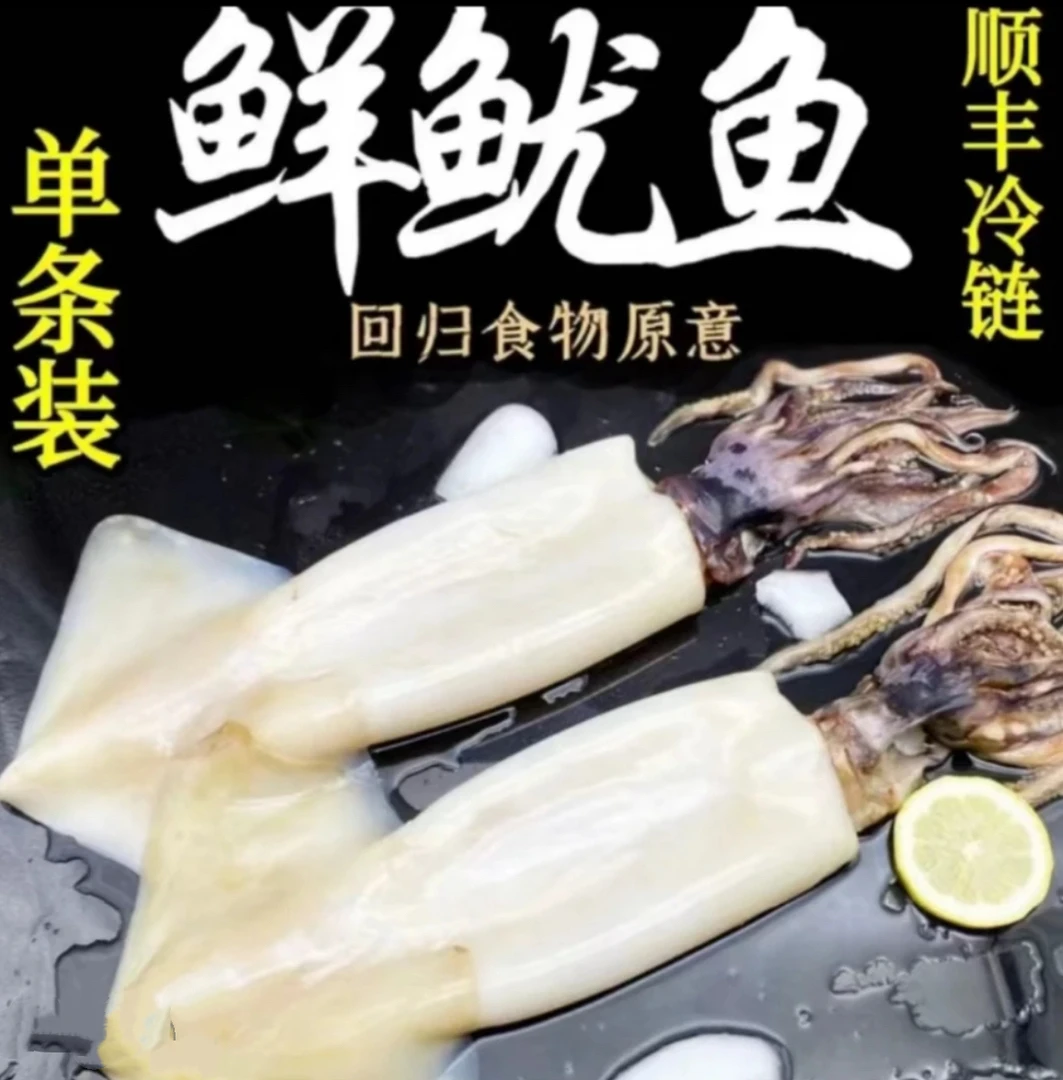 新鲜美味免清理去皮去内脏生鲜大鱿鱼可红烧烧烤辣炒
