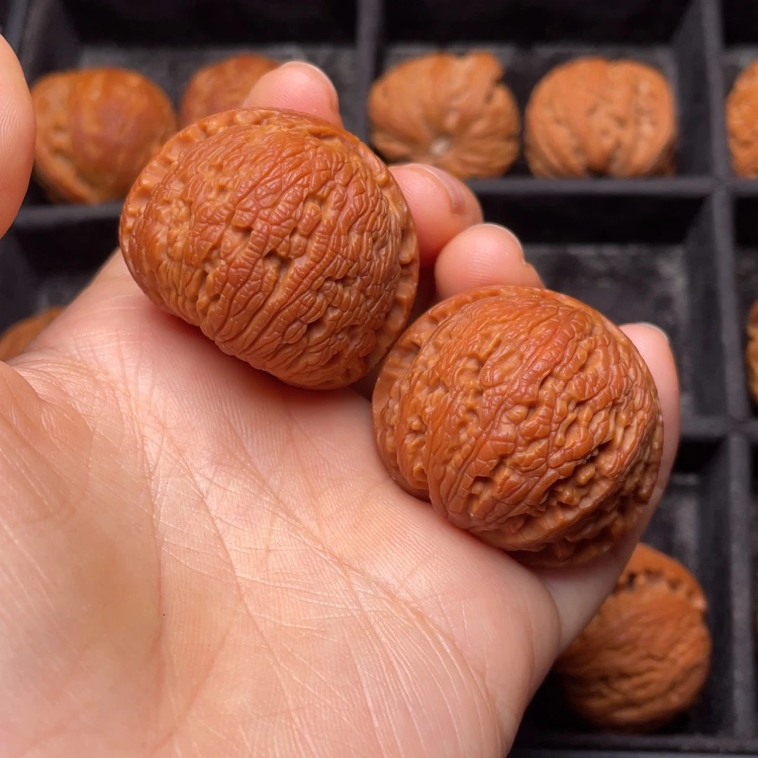 秦岭山脉野生核桃