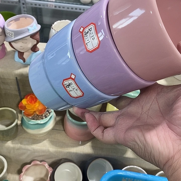 花盆抢购清货马上开始