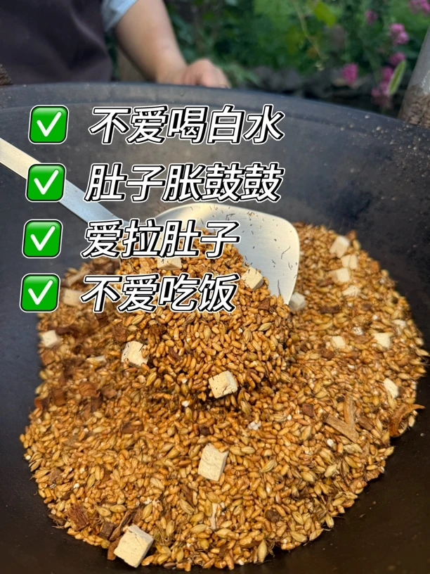 儿童炒米茶小孩糙米佛手茯苓饮五谷杂粮水焦米炒米水茶包