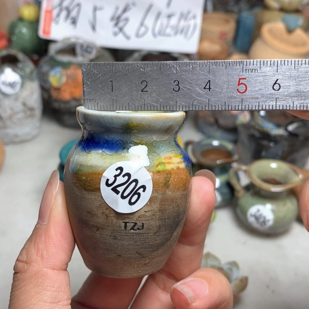 拍5送一个小礼物