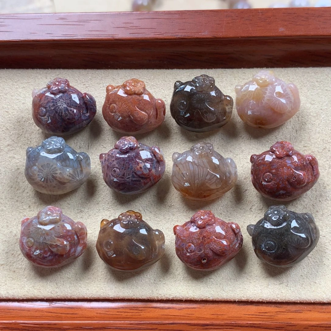 未镶嵌小鱼（微瑕）漏150/组。25硅化珊瑚（珊瑚玉）
