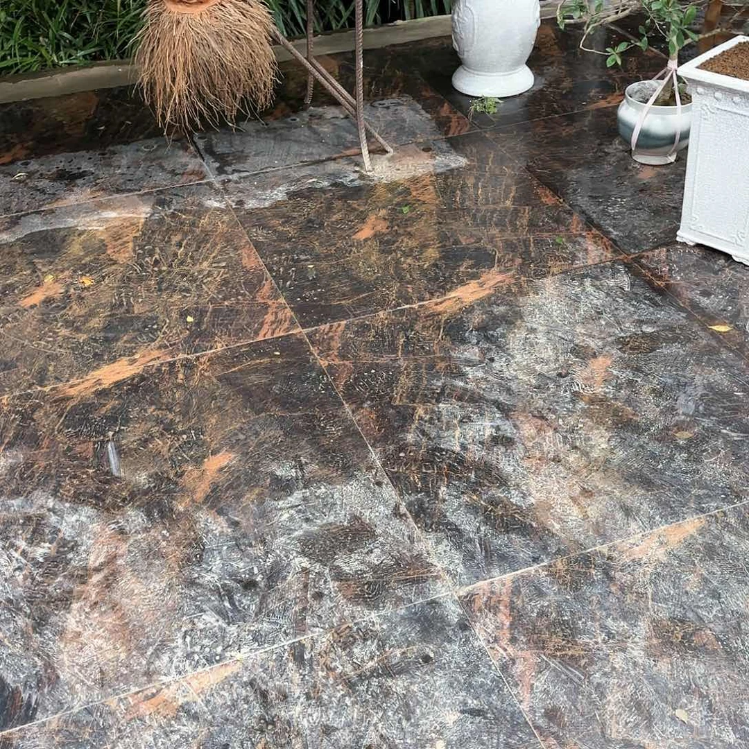 盆景精品海岛栀子花