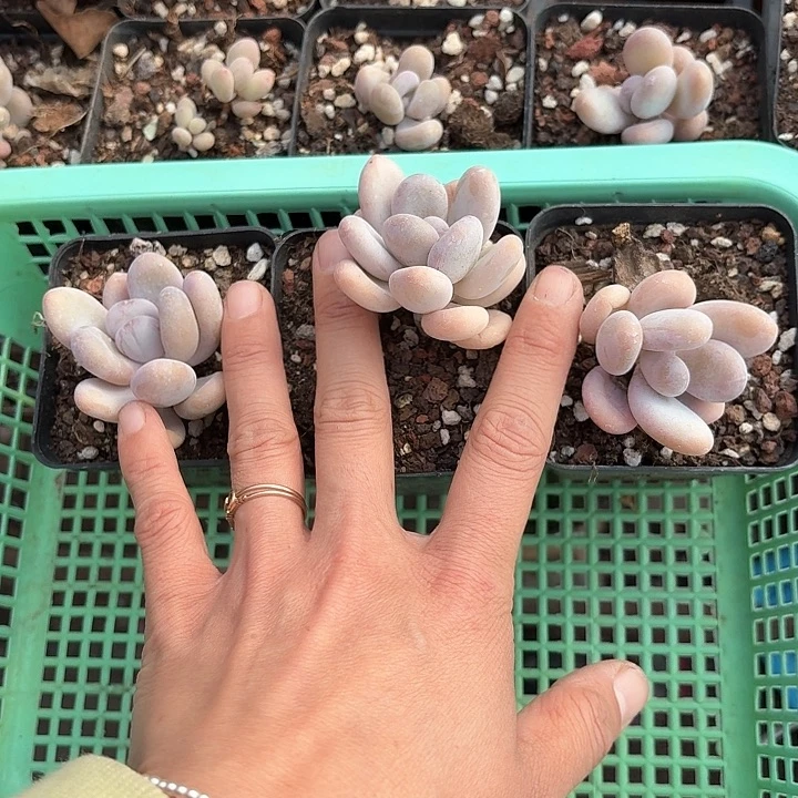 财****?hhhhggggh347