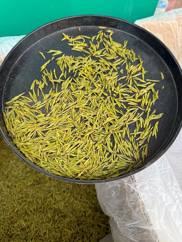 2025年新茶春茶黄金芽480款浙江原产兰花香