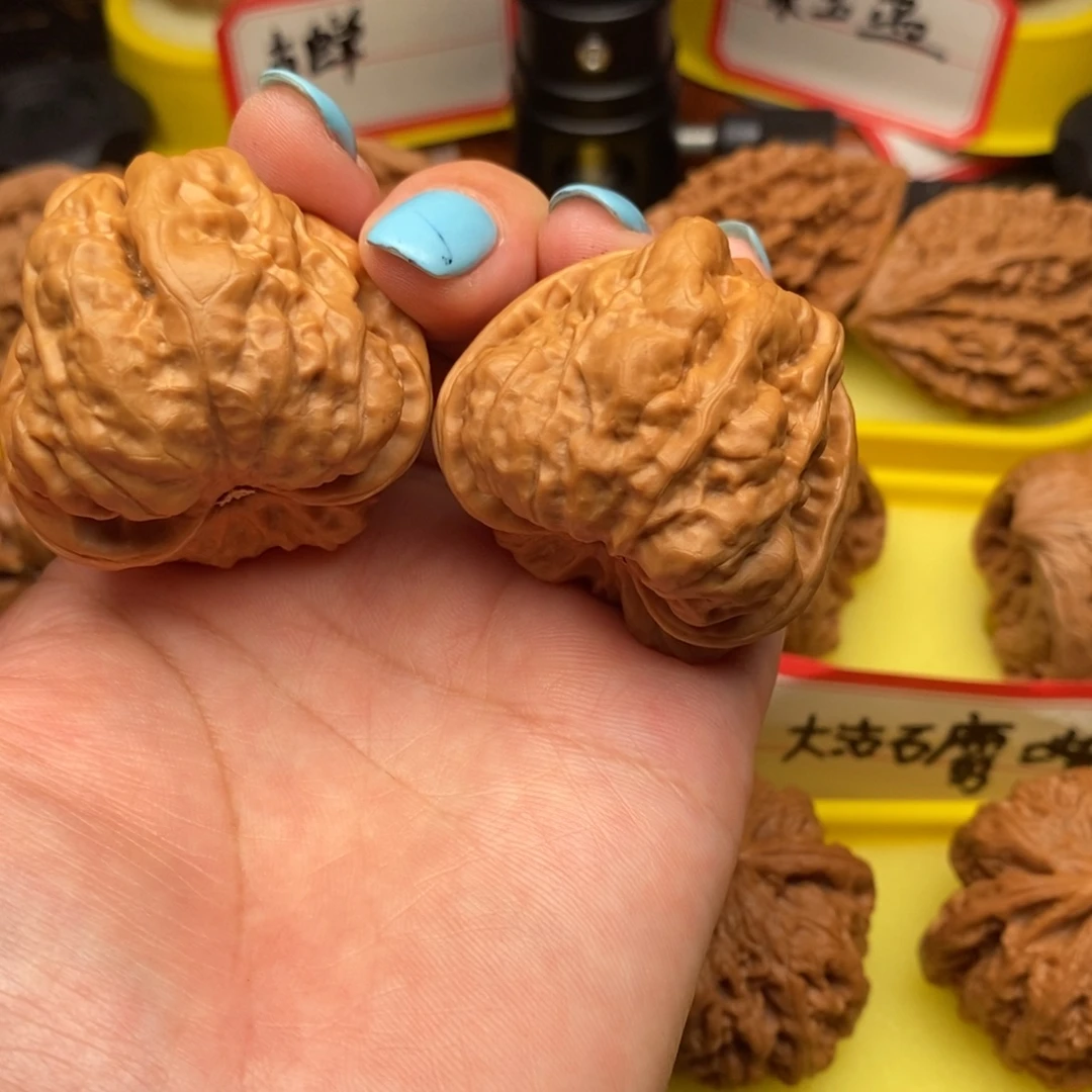 ****安菩提籽类三角蛙蛙