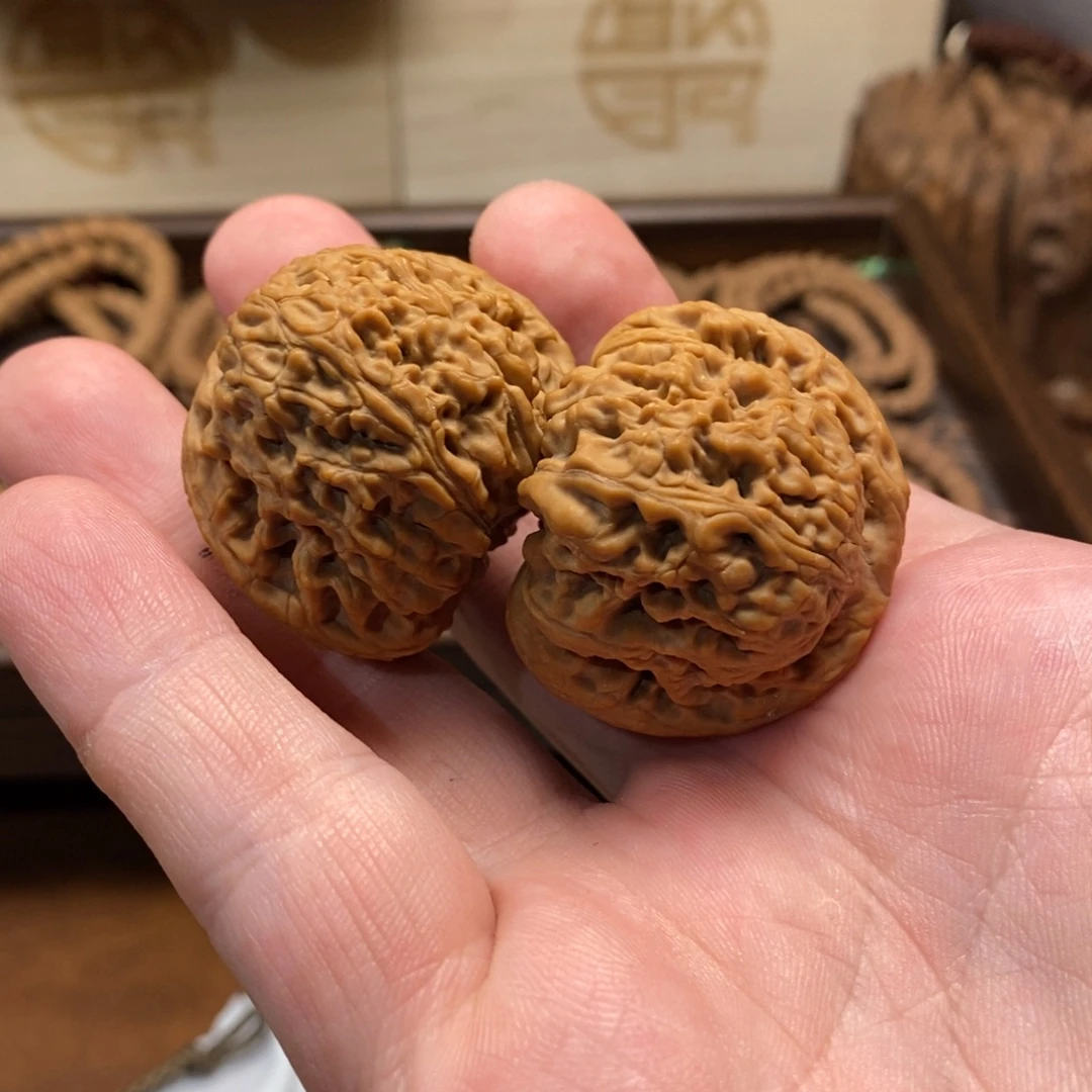 手串金刚菩提球形南疆41