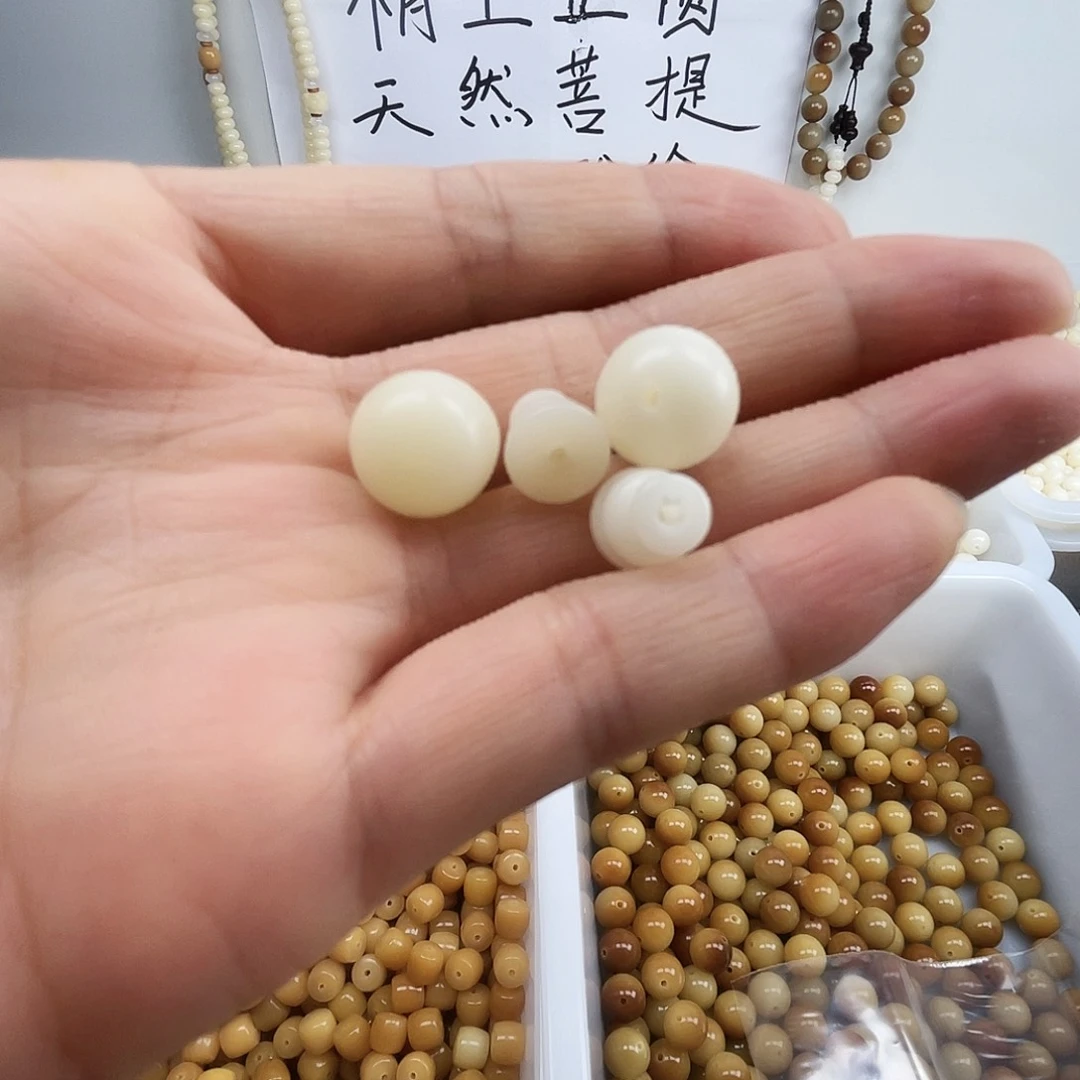 吊坠菩提根/象牙果