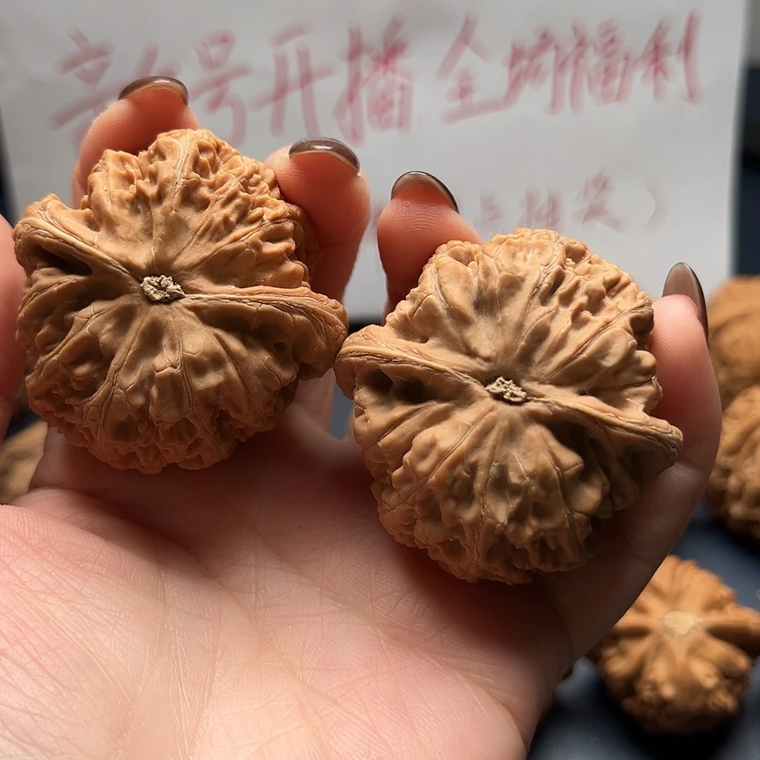 杏***干核桃44尺寸大粗筋