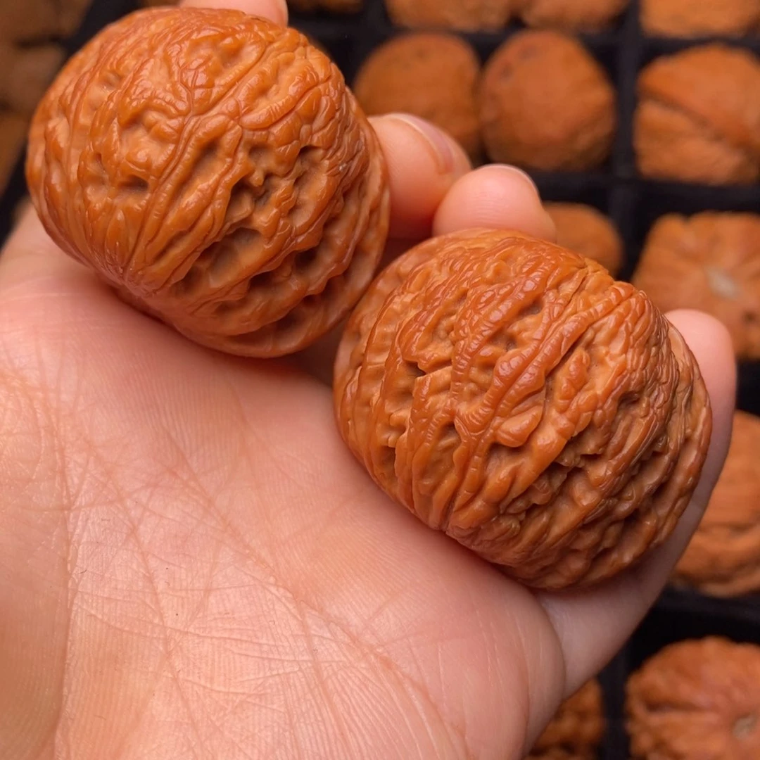 文玩核桃把件秦岭野生核桃