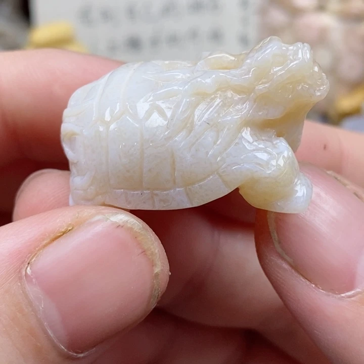 颈饰未镶嵌硅化珊瑚（珊瑚玉）