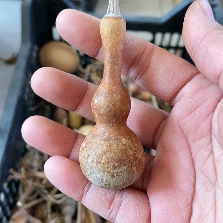 伊*bnbnnnnnnnnnkmkkmmm