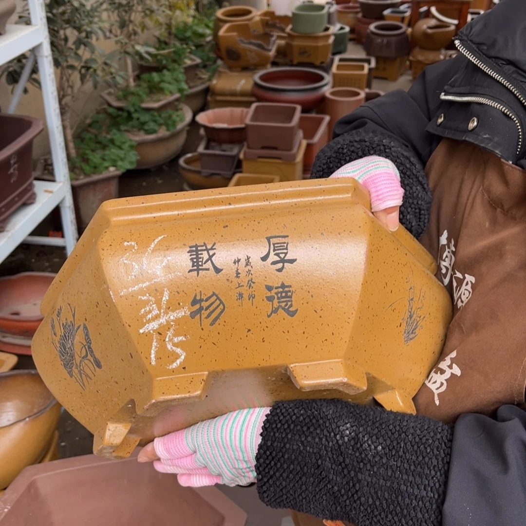 花盆紫砂盆景艺术