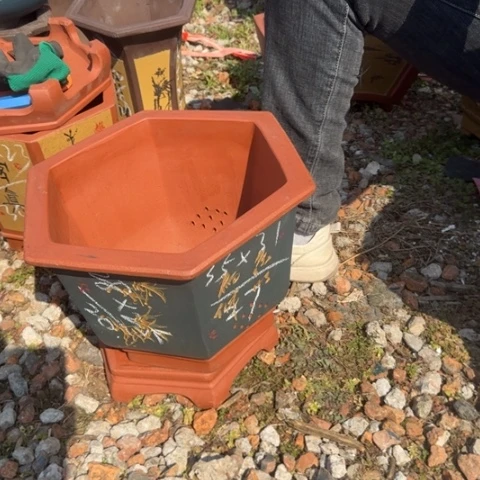 紫砂花盆紫砂花盆盆景盆栽