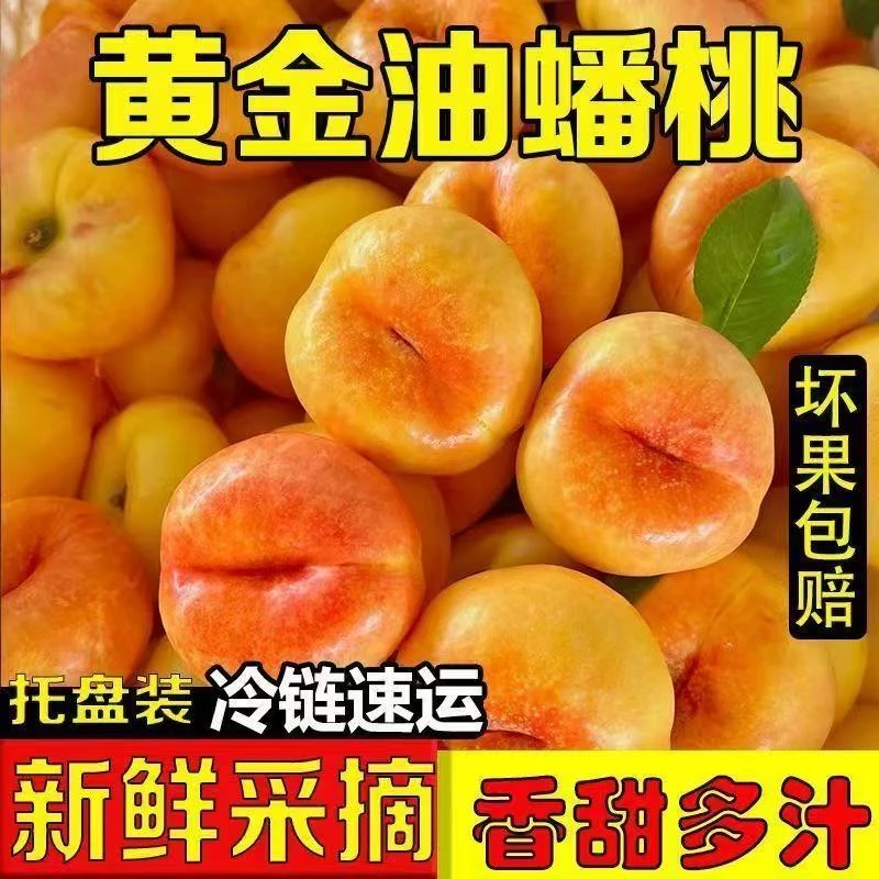 【正宗山东蒙阴油蟠桃】现摘现发露天种植硬吃脆甜放软爆汁