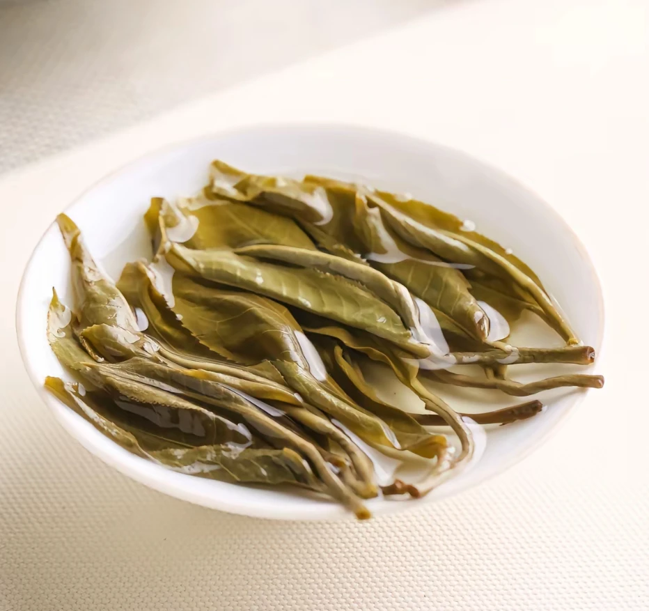 福利【临沧秘境·原山】2023年头春头采 百年古树 普洱茶 生茶 500g