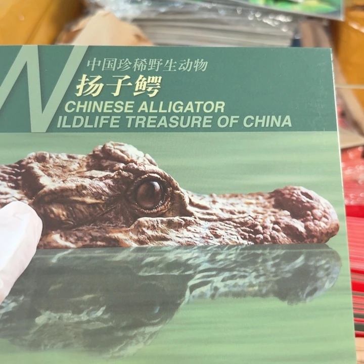 其他普通金属扬子鳄卡册