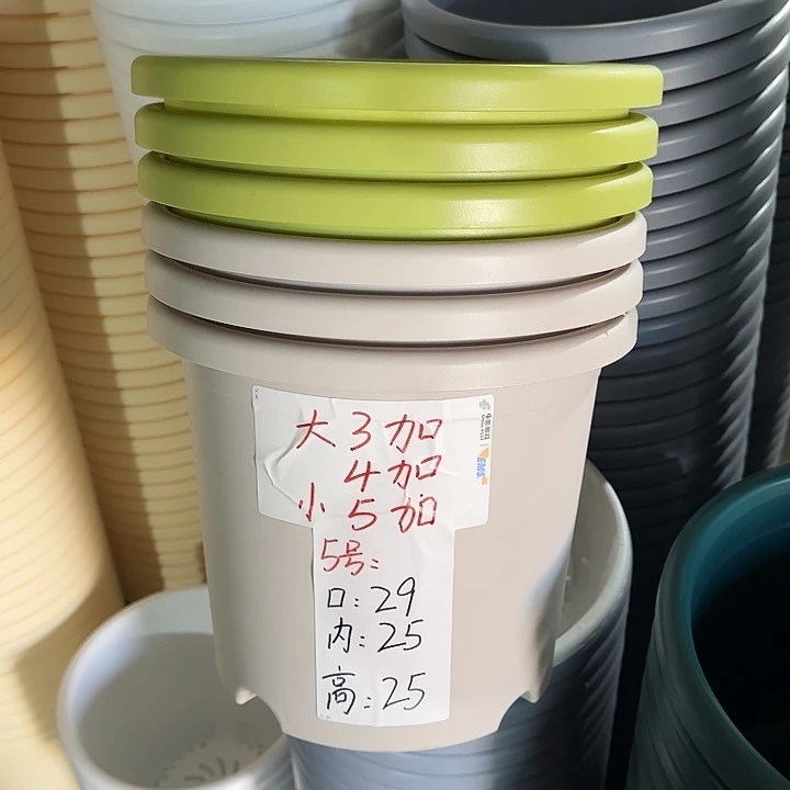 四季5#口径29灰白5个无托