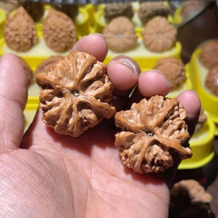 桃核吊坠Y***啊苹果园全品