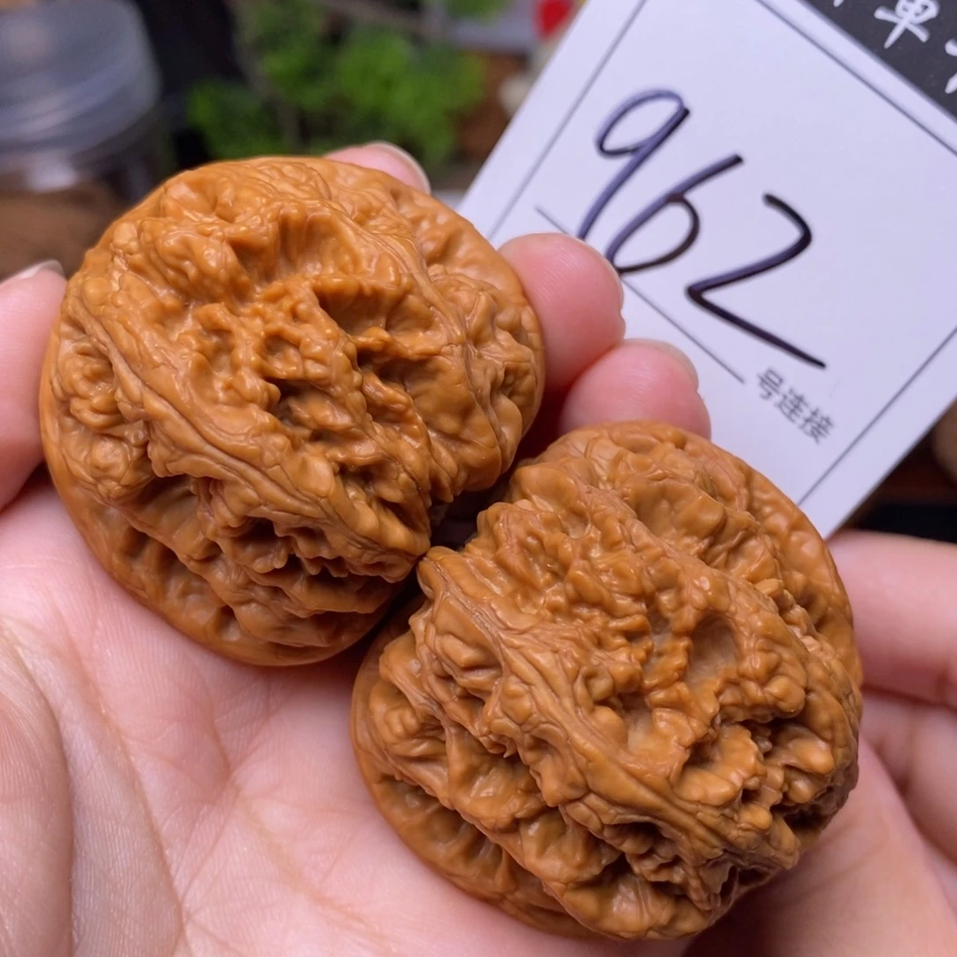 把件文玩核桃962粗筋4.5