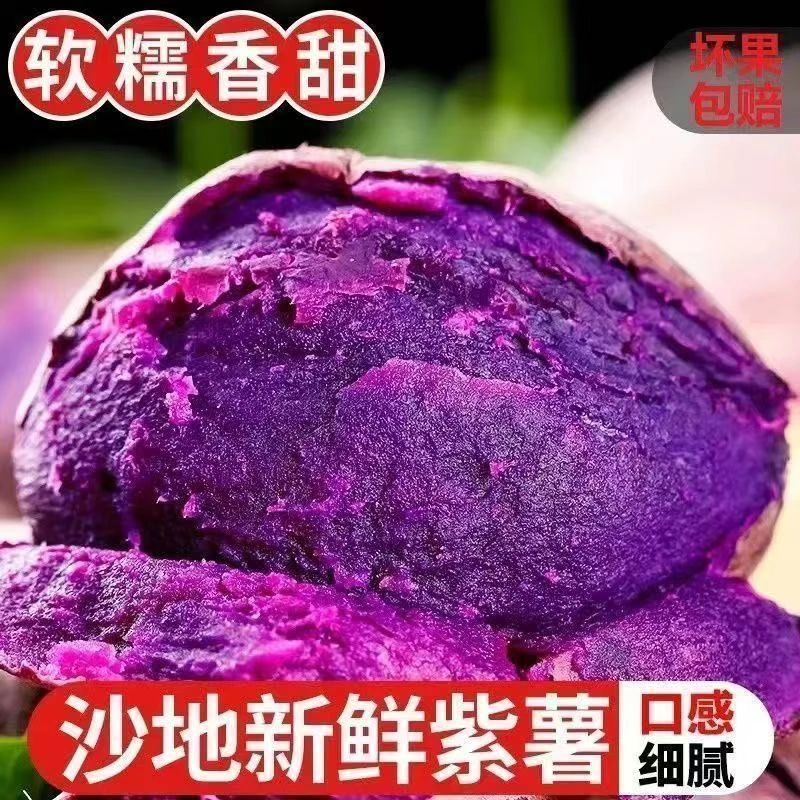 D1【沙地紫薯】新鲜红薯番薯地瓜香甜粉大中小果净重4.5斤坏瓜包赔