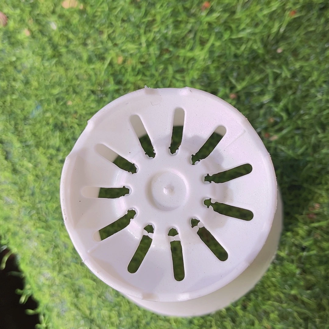 香格里拉多肉植物多肉