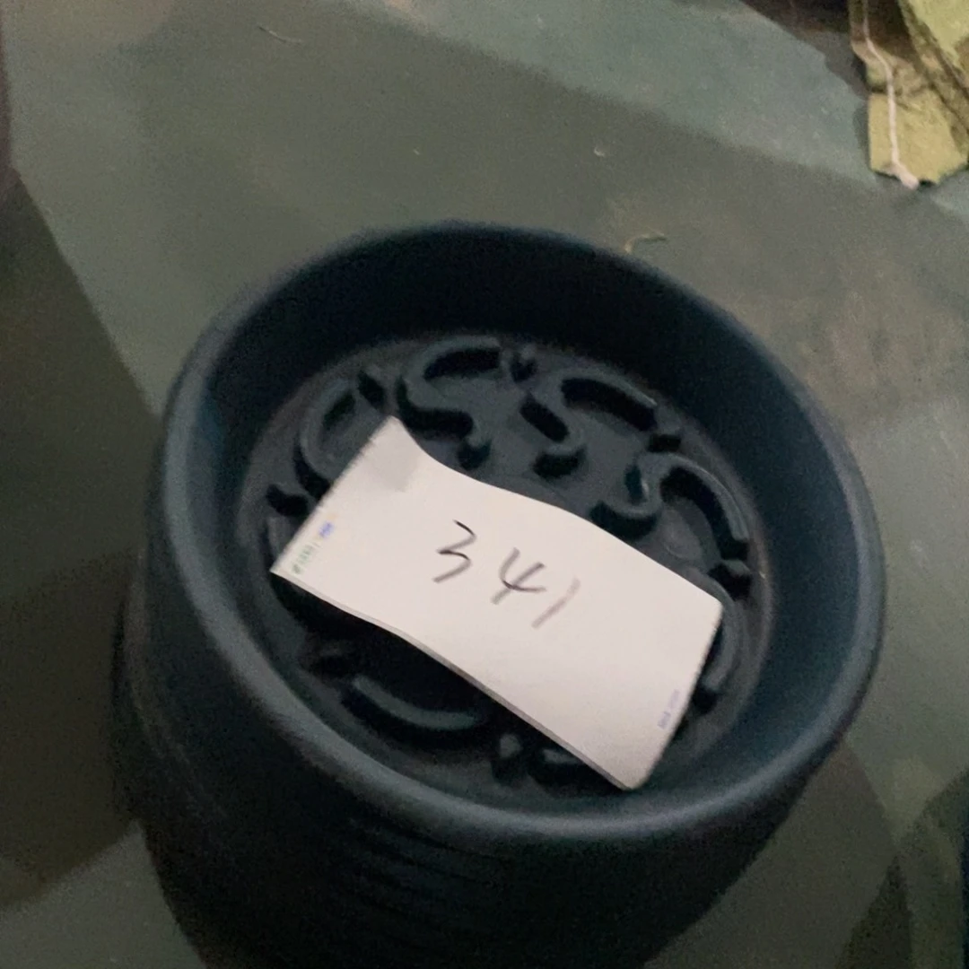 树脂编号341微瑕