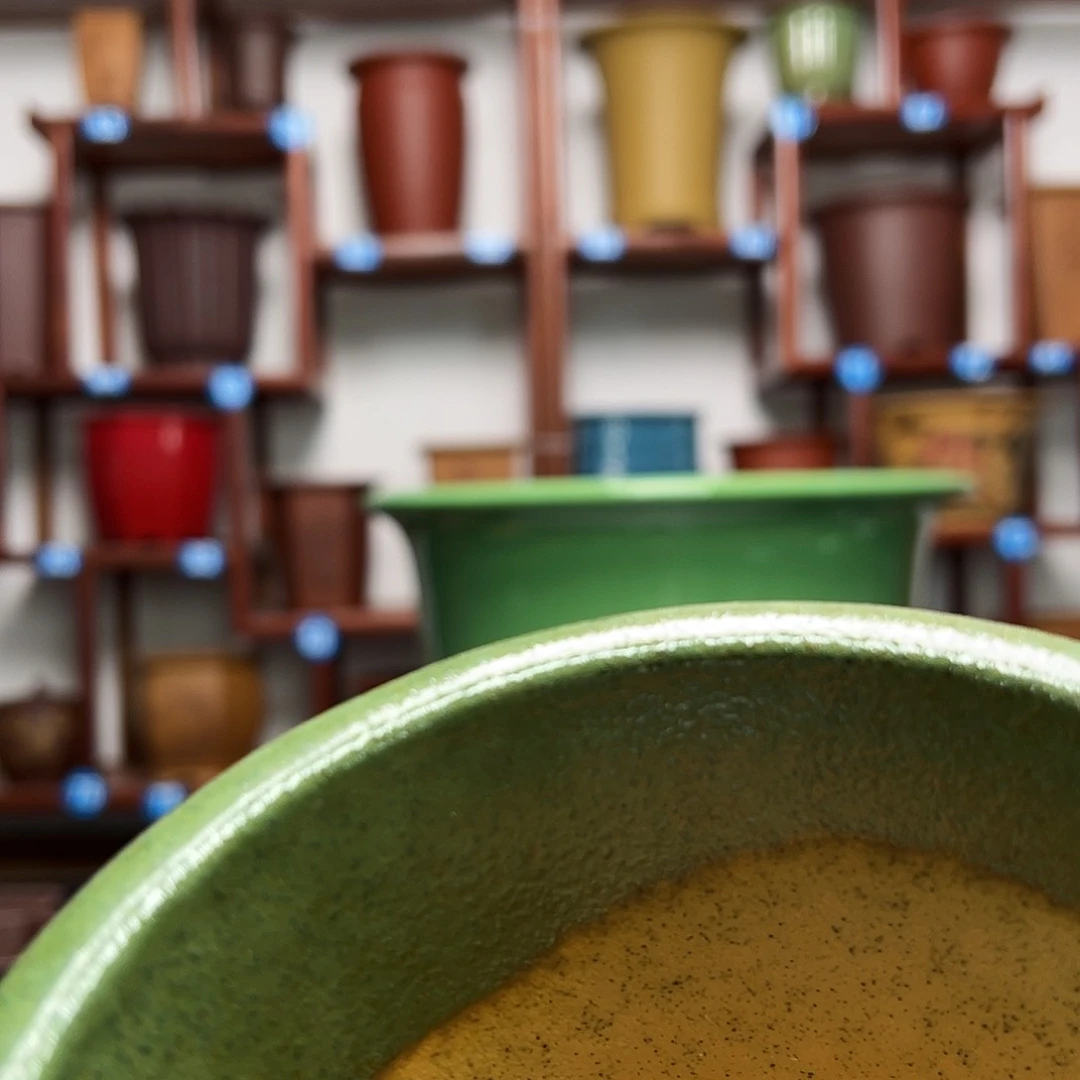 紫砂花盆谈**怒紫砂釉盆金钟